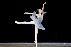 ART9696