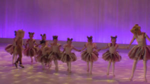 Colours of Passion 2017